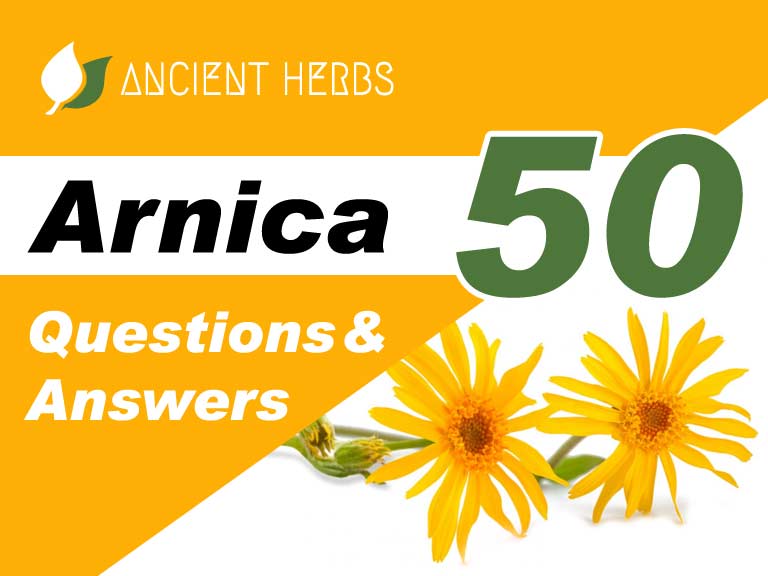Arnica