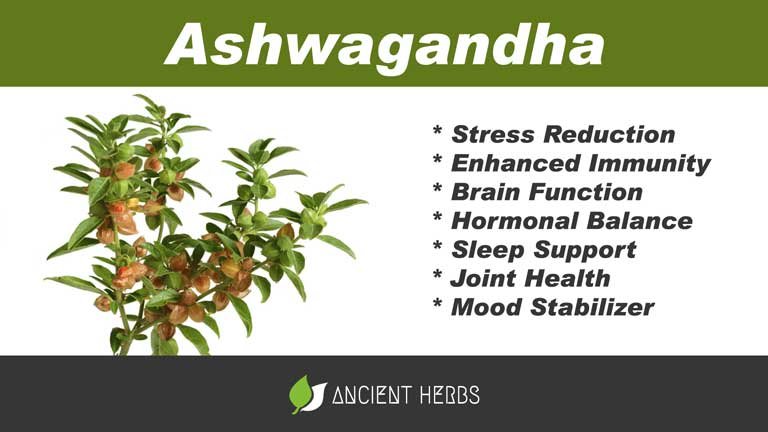 ashwagandha benefits