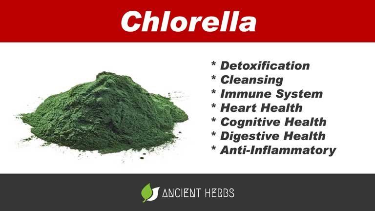 chlorella benefits