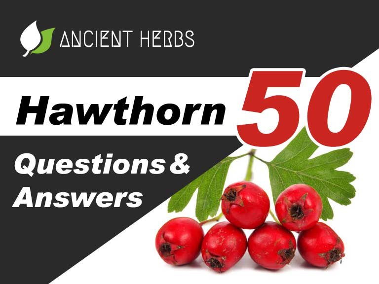 Hawthorn