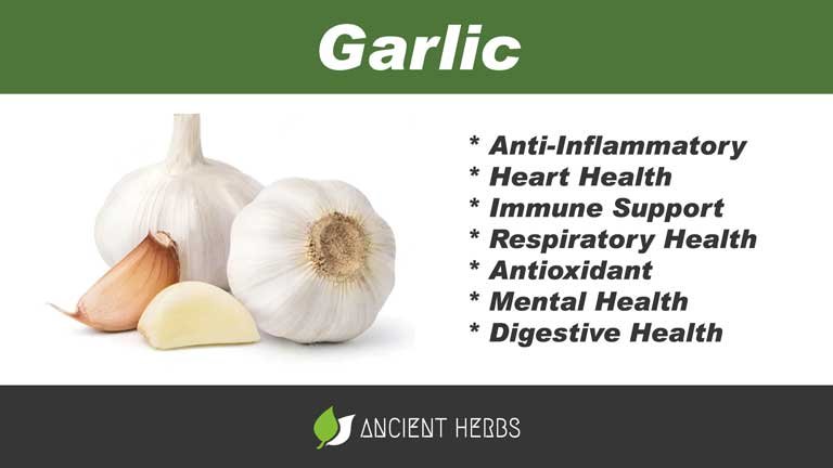garlic benefits