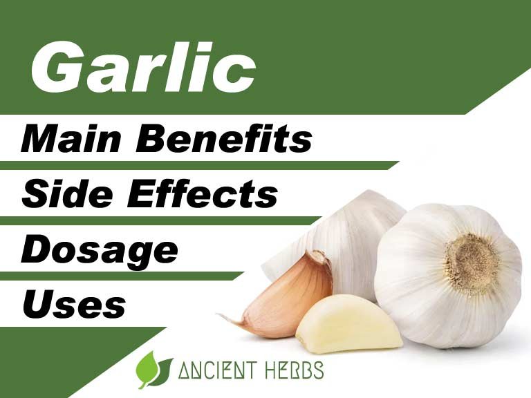 Garlic