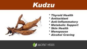 Kudzu Benefits, Uses, Dosage & Side Effects
