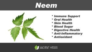 Neem Benefits, Uses, Dosage & Side Effects