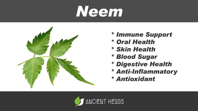neem benefits