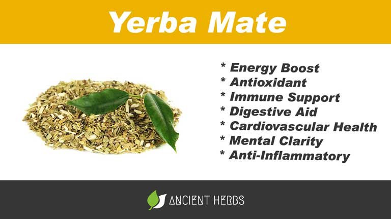 yerba mate benefits