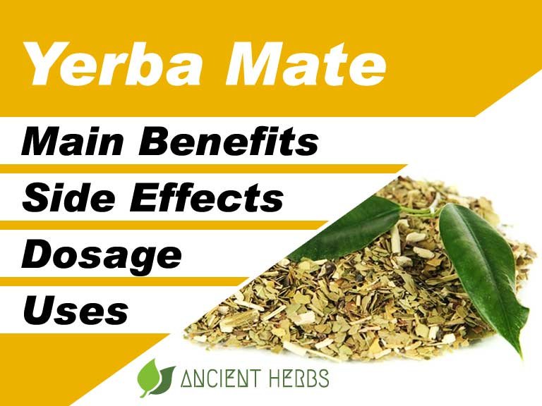 Yerba Mate