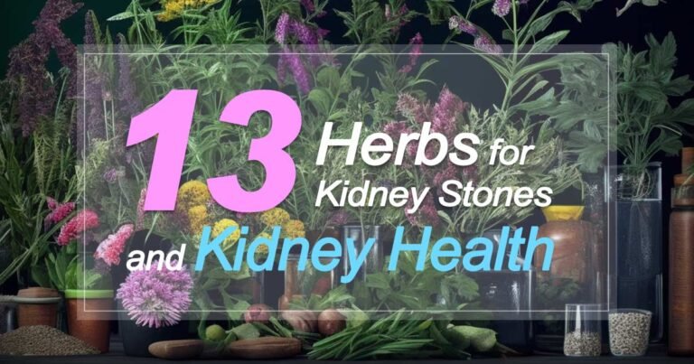 Visual Reference: 13 Wonder Herbs For Kidney Stone Removal And Kidney Health