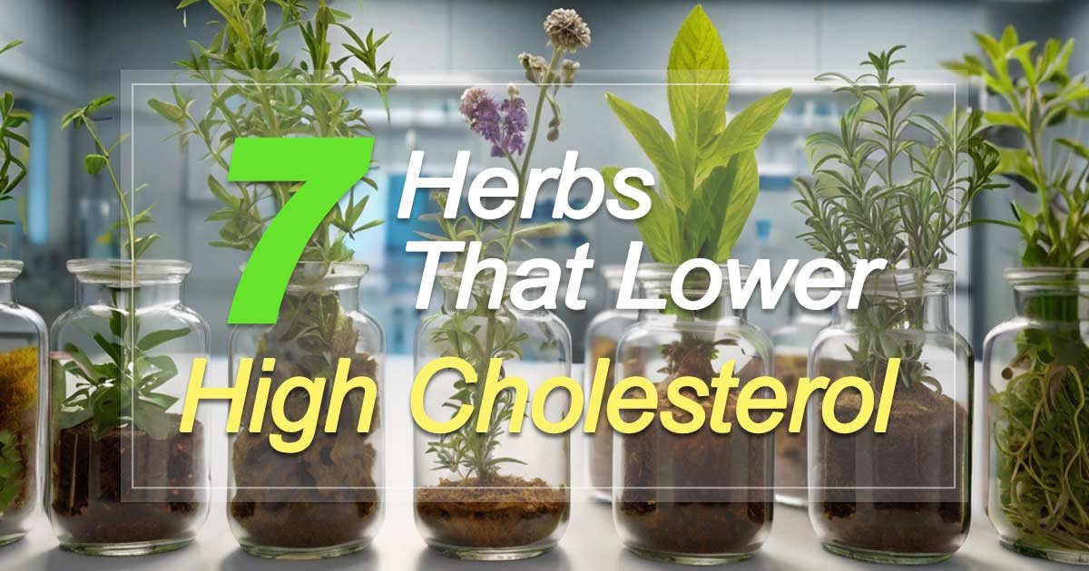 Herbs That Lower High Cholesterol
