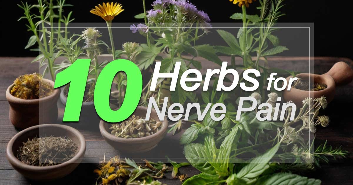 Medicinal Herbs for Nerve Pain