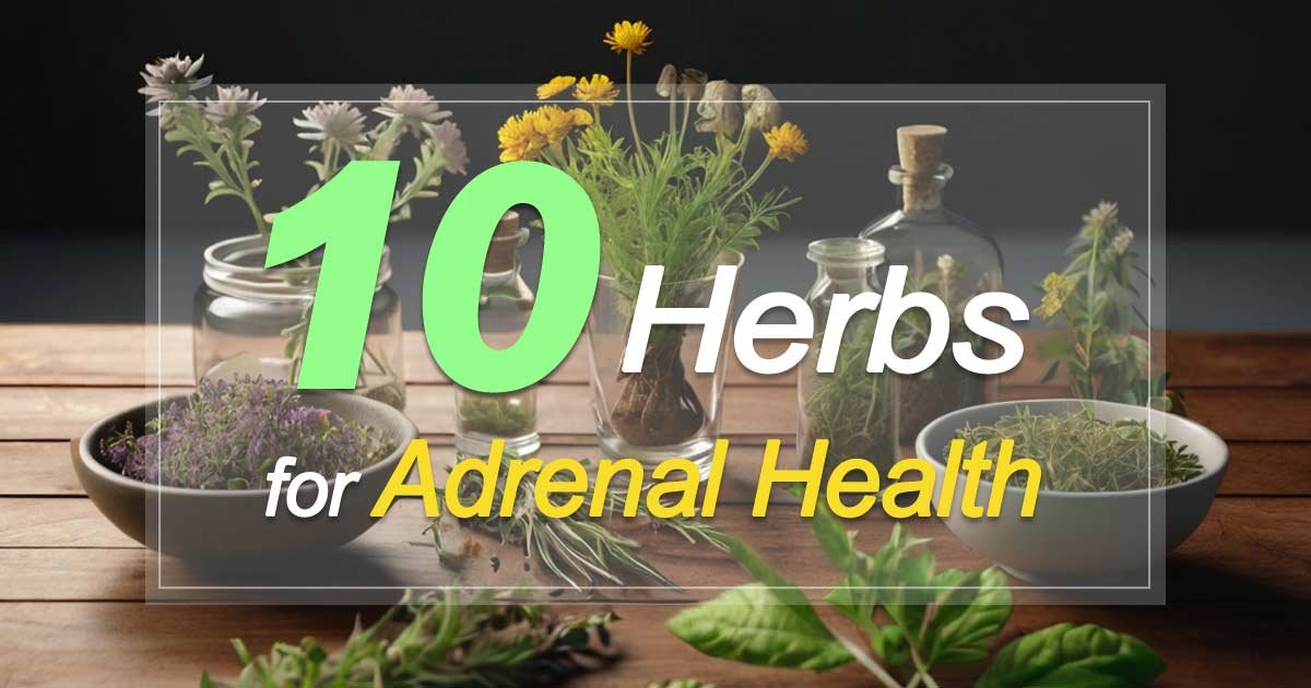 Best Herbs for Adrenal Health