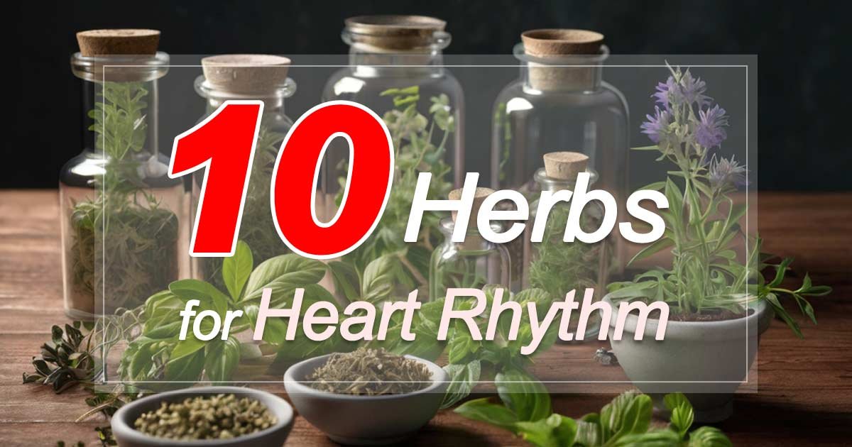 Herbs for Heart Rhythm Support