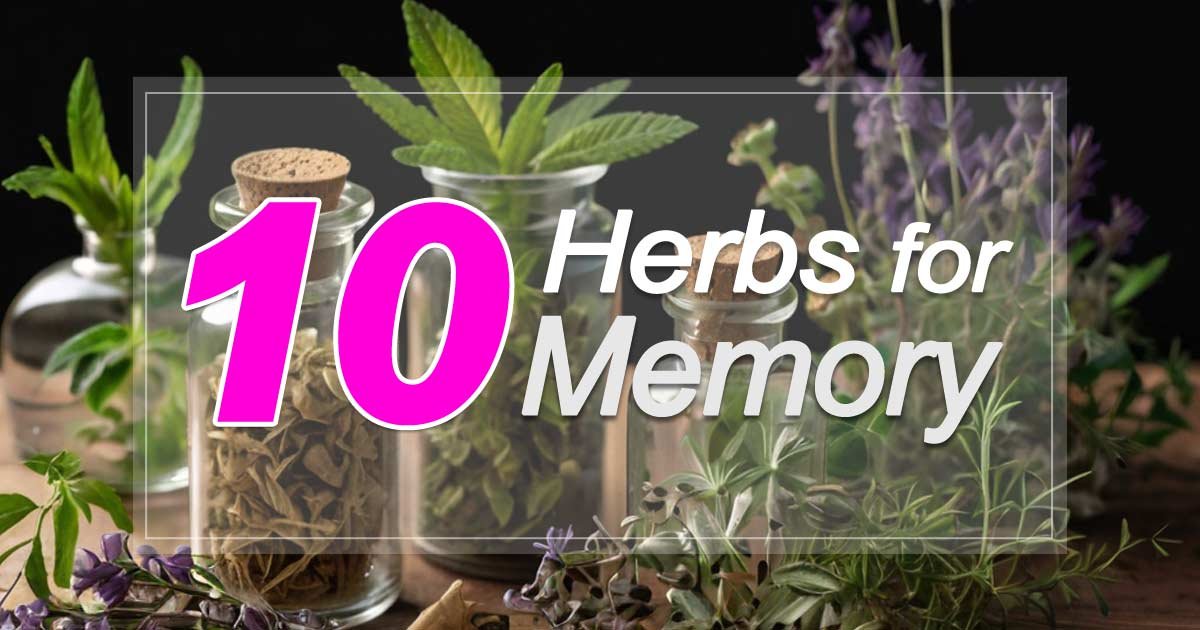 Herbs for Memory