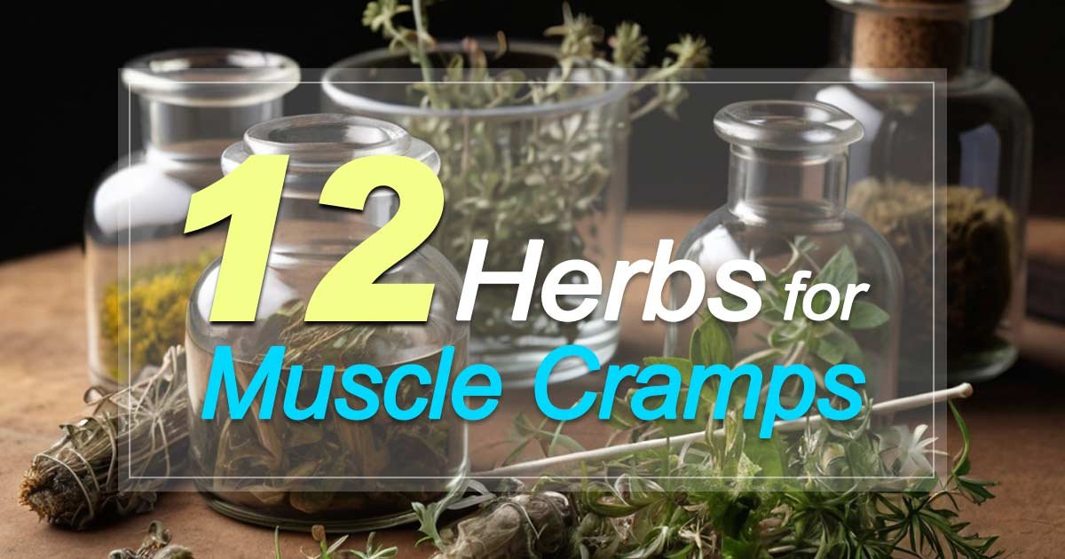 Nature’s Cure: 12 Herbs for Muscle Cramps