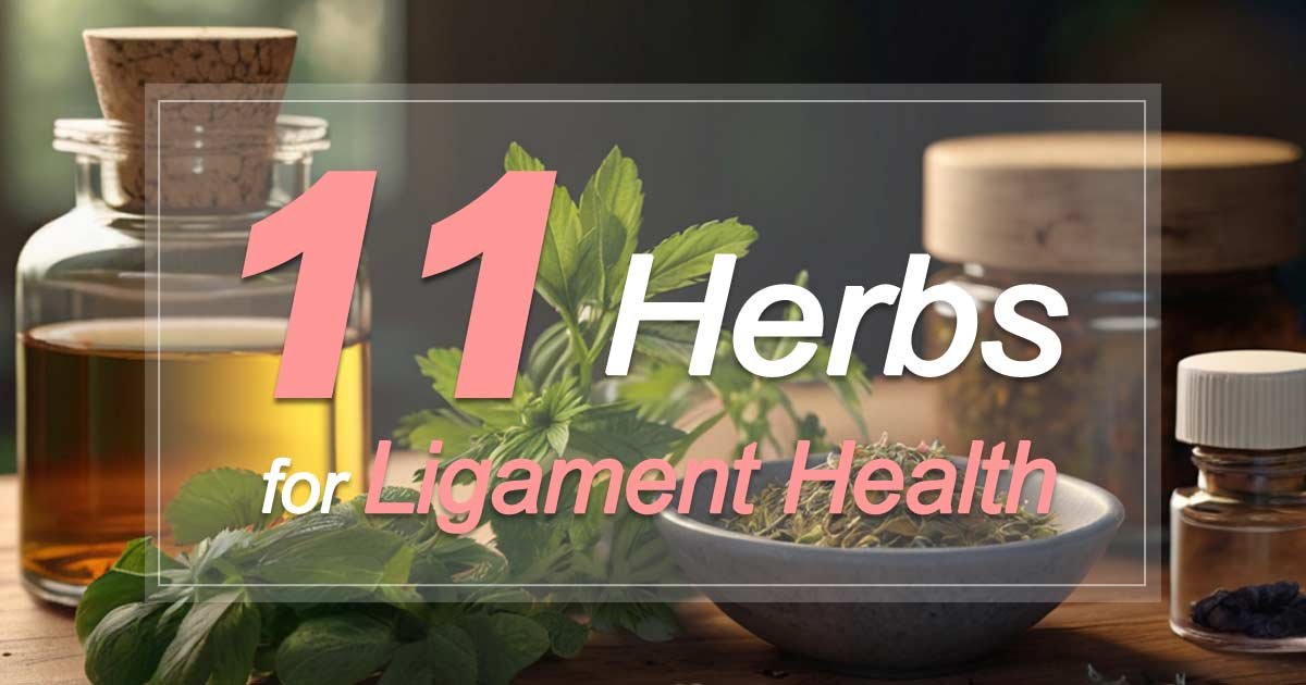 Herbs for Ligament Health and Tendon