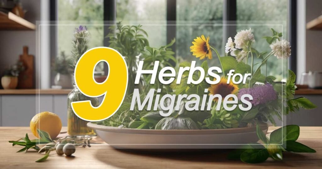 Top 9 Herbs for Migraines and Natural Relief - Natural Brain Health Supplements For Reducing Headaches And Migraines