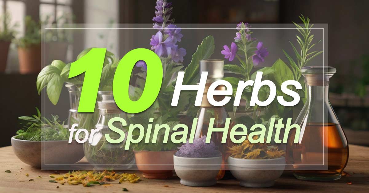 Herbs for Spinal Health