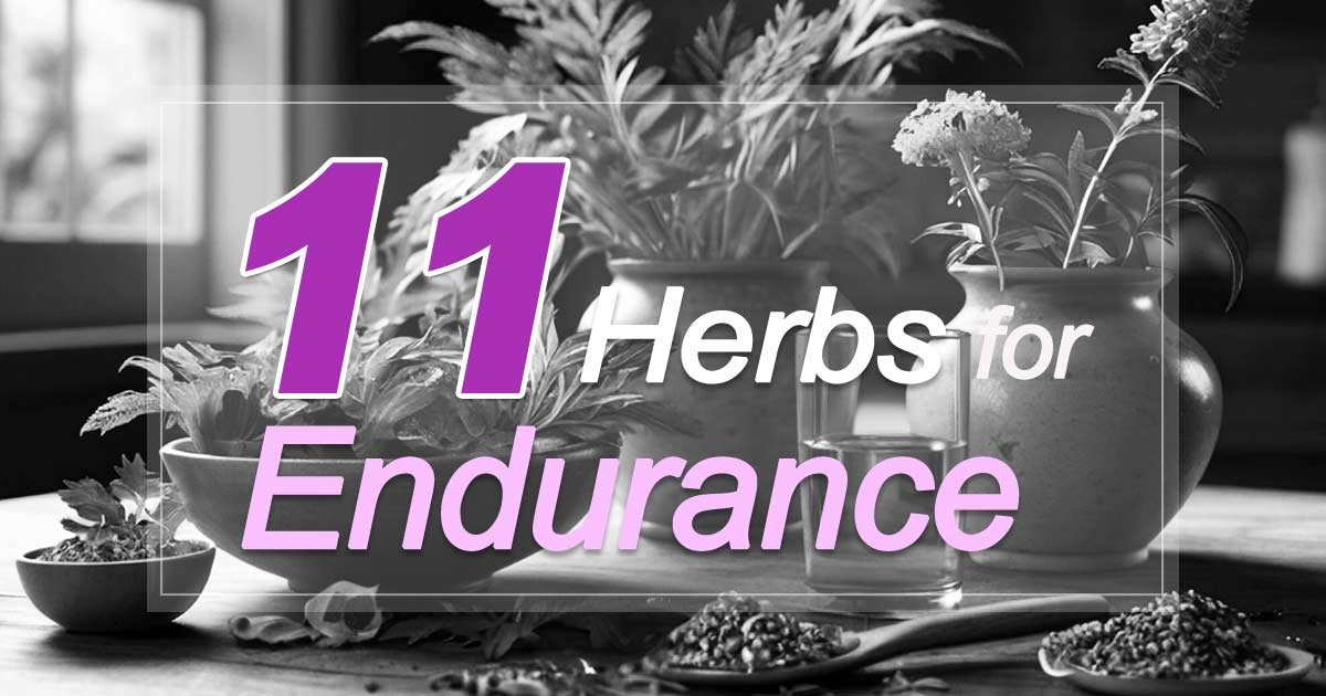 Herbs for Endurance