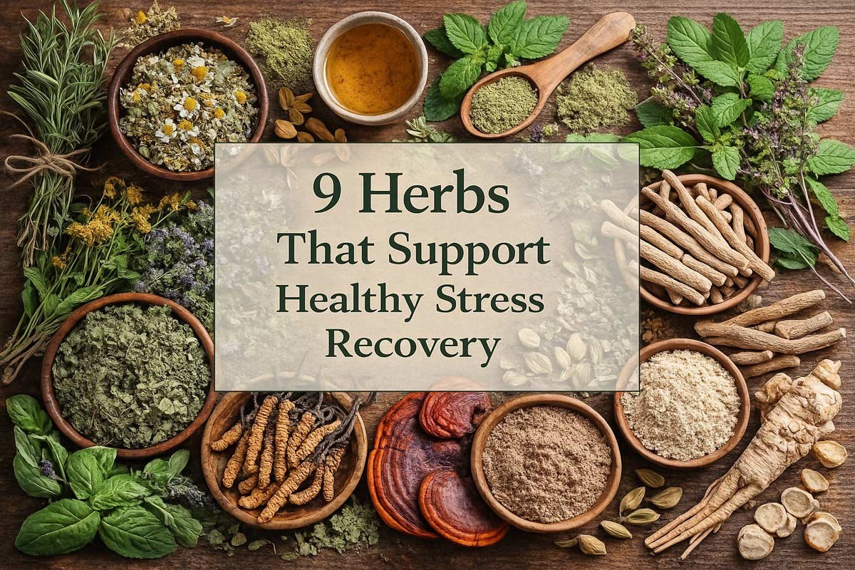 Herbs That Support Healthy Stress Recovery
