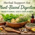 Herbal Support for Plant-Based Digestion: Traditional Uses Explained
