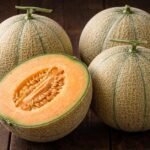 Cantaloupe