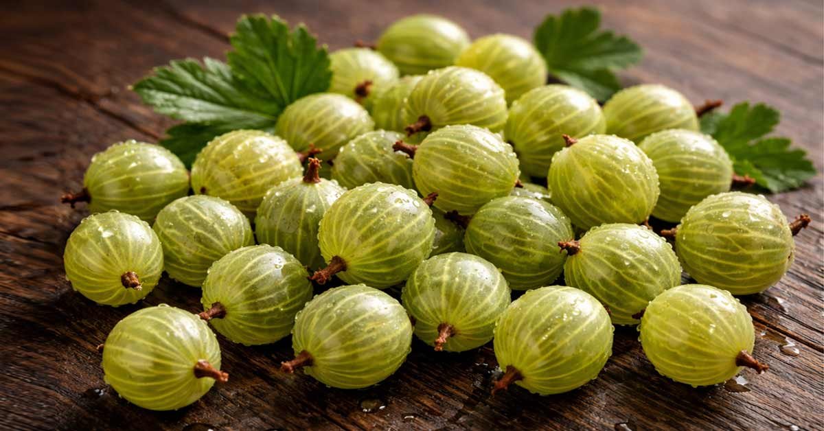 Gooseberries