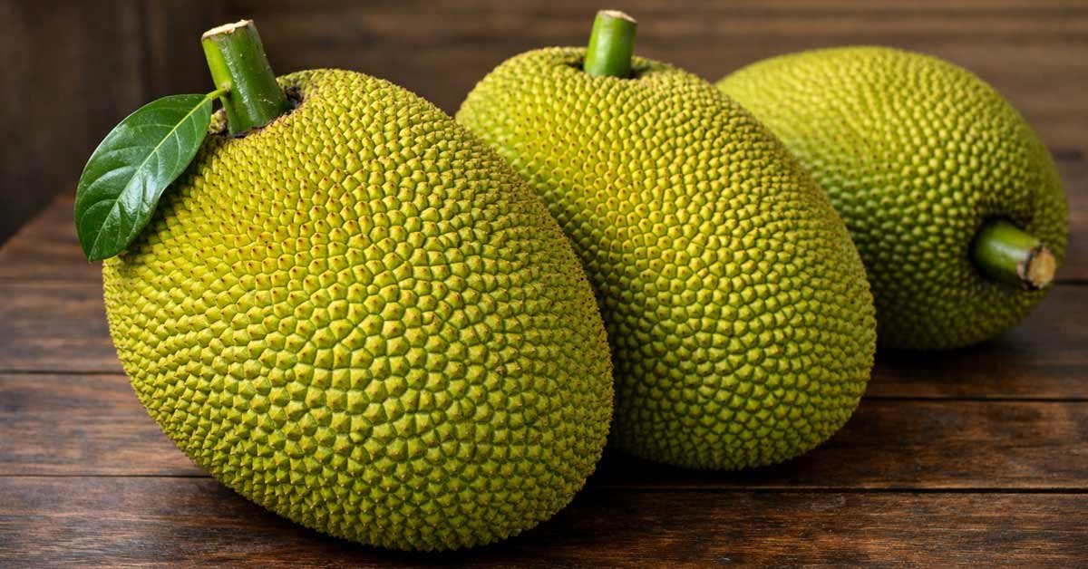 Jackfruit
