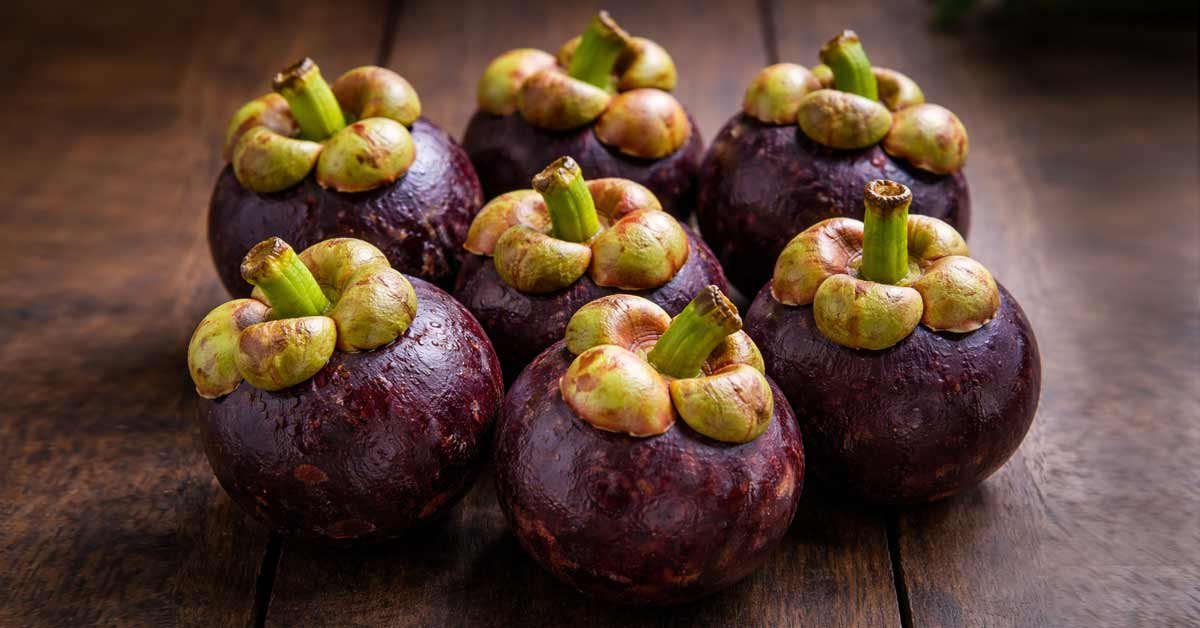 Mangosteen