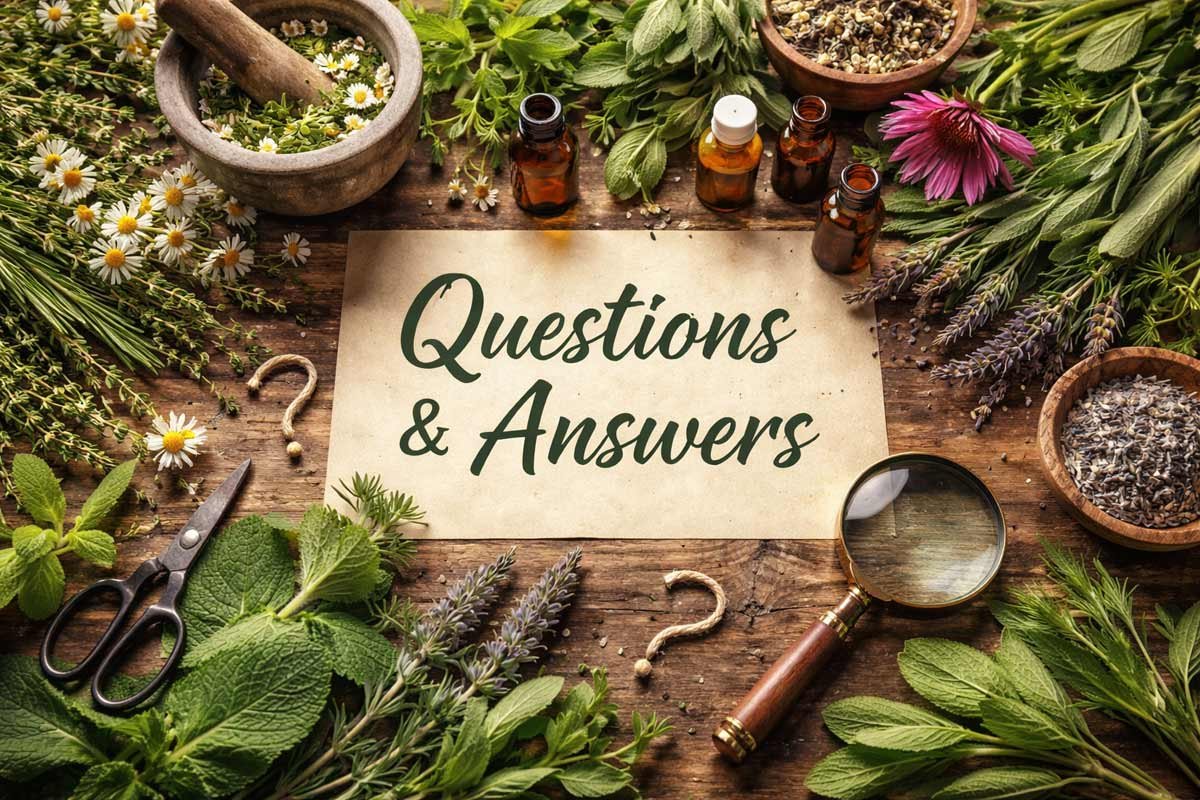 Questions & Answers to Medicinal Herbs