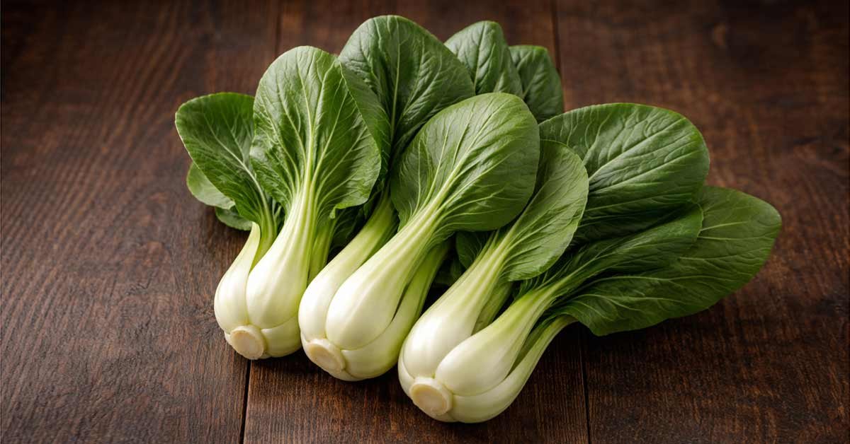 Bok Choy