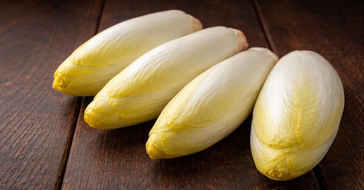 Endive