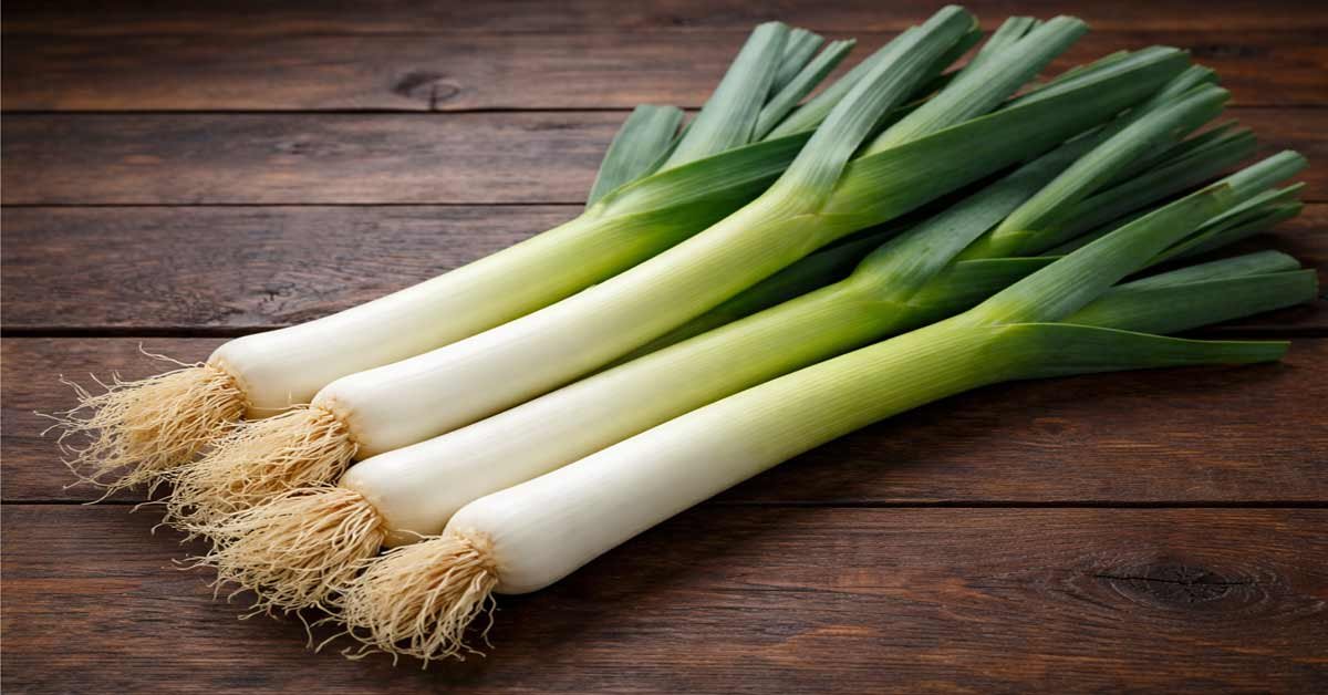 Leek