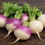 Turnip Root