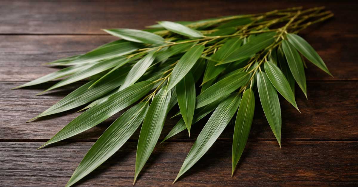 Bamboo Leaf