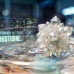 Amino Acid Histidine